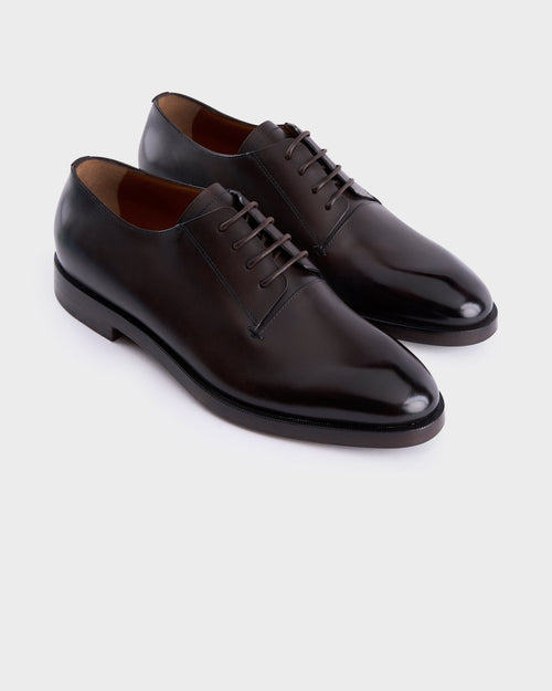 Brown Leather Torino Derby Shoes